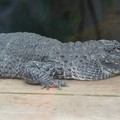 DSC01645.JPG