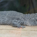 DSC01646.JPG