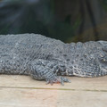 DSC01647.JPG