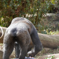 DSC01649.JPG