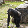DSC01650.JPG