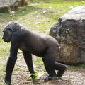 DSC01651.JPG