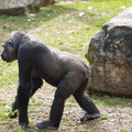 DSC01652.JPG