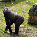 DSC01653.JPG