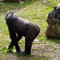 DSC01654.JPG