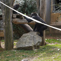 DSC01655.JPG