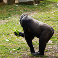 DSC01656.JPG