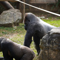 DSC01657.JPG