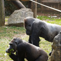 DSC01658.JPG