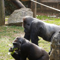 DSC01659.JPG