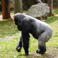 DSC01660.JPG