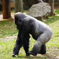 DSC01661.JPG
