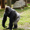 DSC01662.JPG
