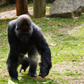DSC01663.JPG