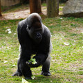 DSC01664.JPG
