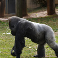 DSC01665.JPG