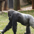DSC01666.JPG