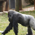 DSC01667.JPG