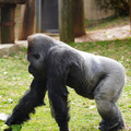 DSC01668.JPG