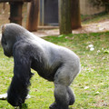 DSC01669.JPG