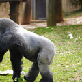 DSC01670.JPG