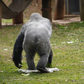 DSC01671.JPG