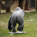 DSC01672.JPG