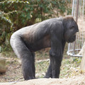 DSC01673.JPG