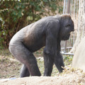 DSC01674.JPG