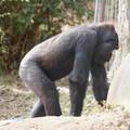 DSC01675.JPG