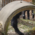 DSC01676.JPG