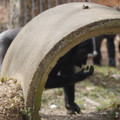 DSC01677.JPG