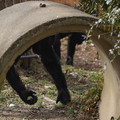 DSC01678.JPG
