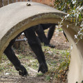 DSC01679.JPG