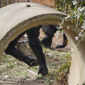 DSC01680.JPG