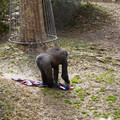 DSC01681.JPG