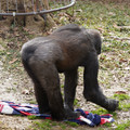DSC01682.JPG