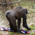 DSC01683.JPG