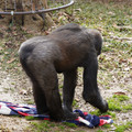 DSC01684.JPG