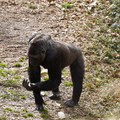 DSC01685.JPG