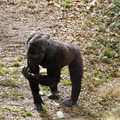DSC01686.JPG