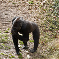 DSC01687.JPG