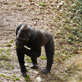 DSC01688.JPG
