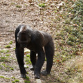 DSC01689.JPG