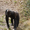 DSC01690.JPG