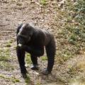 DSC01691.JPG