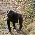 DSC01692.JPG