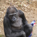 DSC01693.JPG