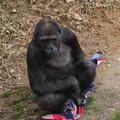 DSC01694.JPG