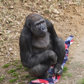 DSC01696.JPG